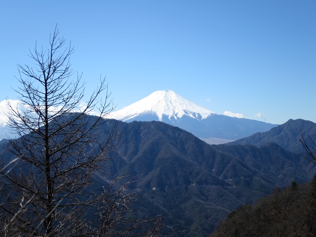 見事な富士山.JPG